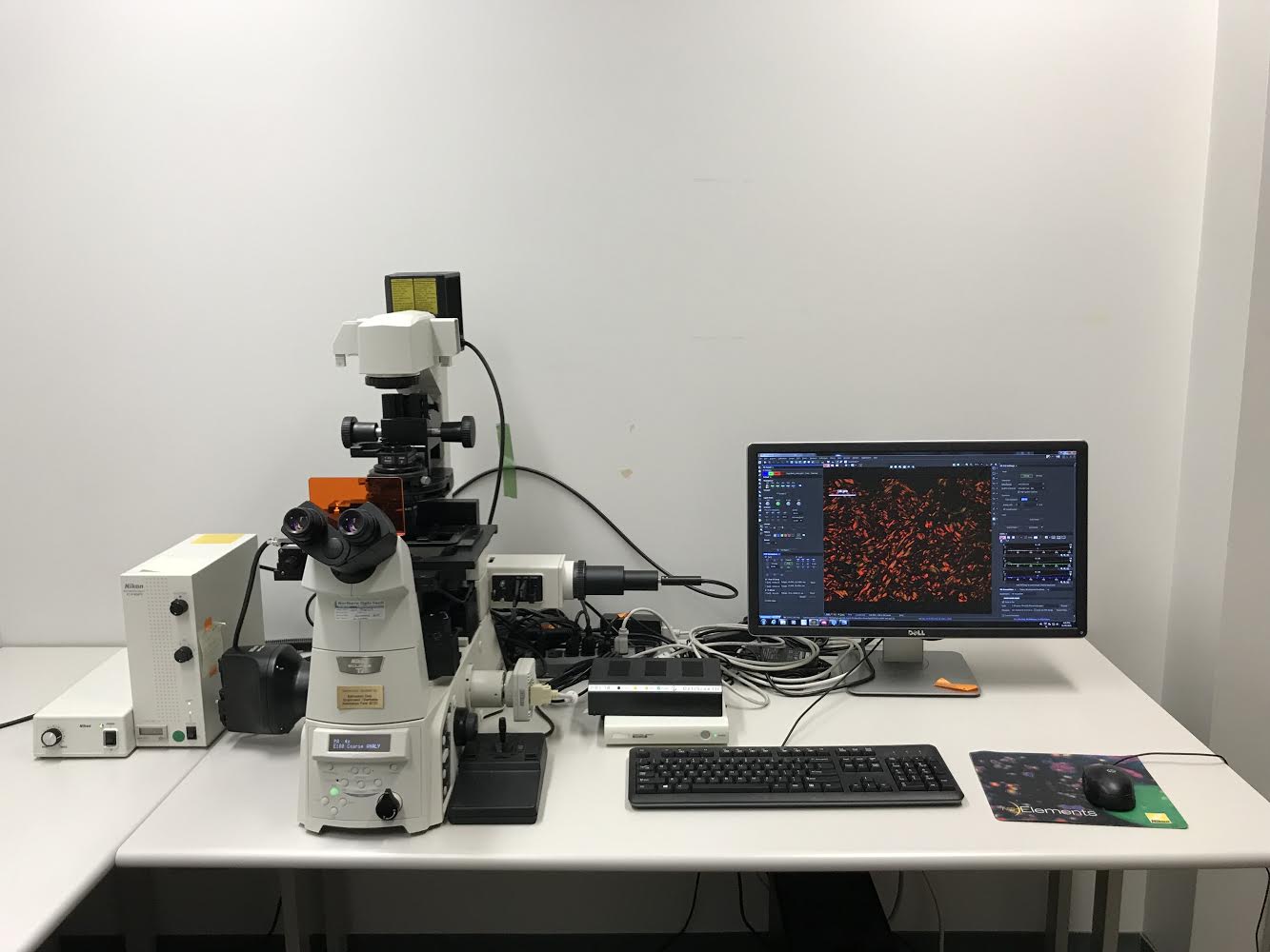 Nikon Immunofluorescence Microscope